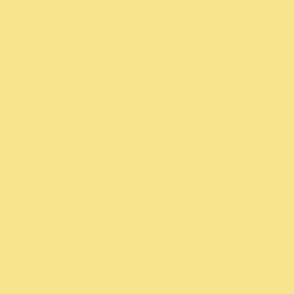 Yellow Bags & Backpacks