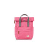 Canfield Roll Top Backpack in Baroque