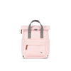 Canfield Roll Top Backpack in English Rose