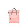 Canfield Roll Top Backpack in Punch
