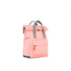Canfield Roll Top Backpack in Punch