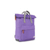 Canfield Roll Top Backpack in Fresh Purple
