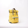 Canfield Roll Top Backpack in Lemonade Stripe