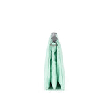 Carnaby Crossbody Bag in Mint