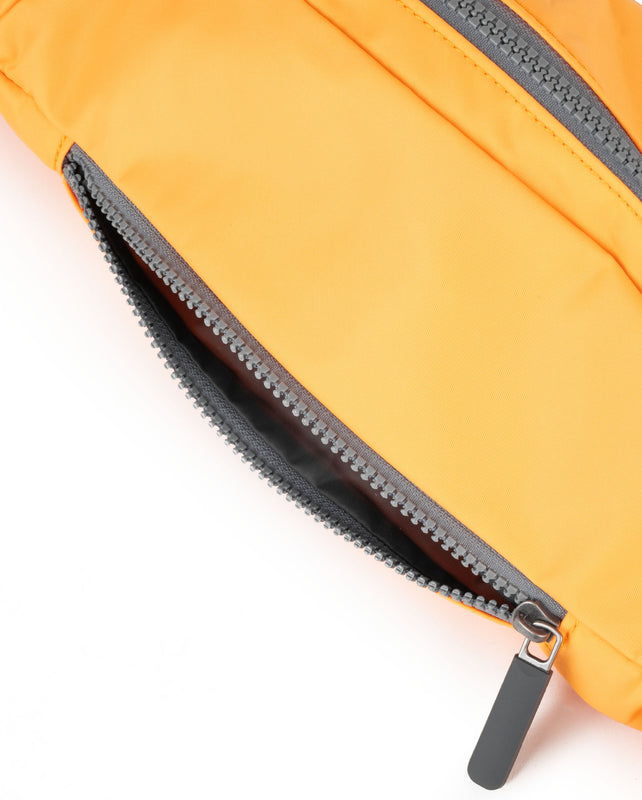 Jubilee Hip Bag in Sorbet