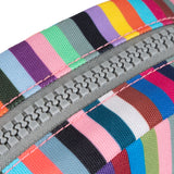 Paddington Crossbody in Multi Stripe Canvas