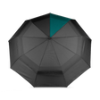 Black/Teal