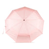 Waterloo Umbrella in English Rose