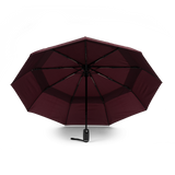 Waterloo Umbrella in Plum