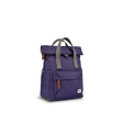 Mulberry
